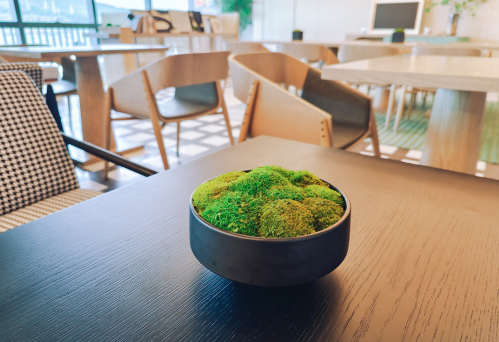 禧月薈月子中心